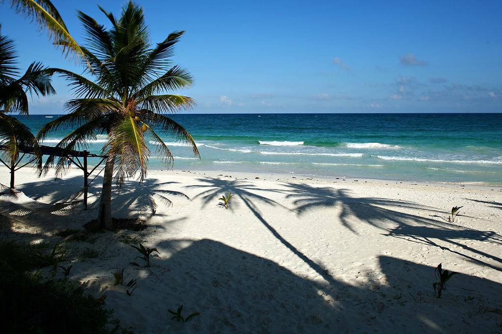 Las Ranitas Eco Boutique Hotel Tulum Eksteriør bilde